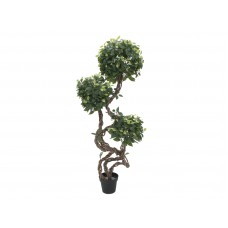 EUROPALMS Ficus Multi Spiralstamm, Kunstpflanze, 160cm