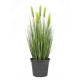 EUROPALMS Weizen Frühsommer, künstlich, 60cm