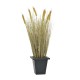 EUROPALMS Weizen erntereif, künstlich, 60cm