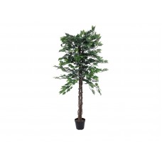 EUROPALMS Ficus-Benjamini Multi-Stamm, Kunstpflanze, 150cm