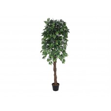 EUROPALMS Ficus-Benjamini Multi-Stamm, Kunstpflanze, 180cm