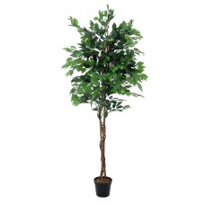 EUROPALMS Ficus-Benjamini Multi-Stamm, Kunstpflanze, 210cm