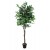 EUROPALMS Ficus-Benjamini Multi-Stamm, Kunstpflanze, 210cm