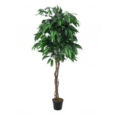 EUROPALMS Dschungelbaum Mango, Kunstpflanze, 180cm