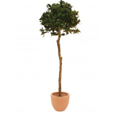 EUROPALMS Lorbeerkugelbaum, Kunstpflanze, 180cm