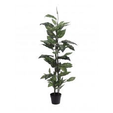 EUROPALMS Dieffenbachia, künstlich, 120cm