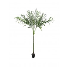 EUROPALMS Areca deluxe, Kunstpflanze, 180cm