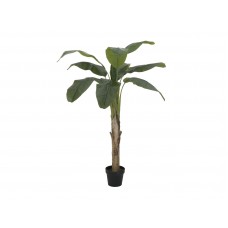 EUROPALMS Bananenbaum, Kunstpflanze, 145cm
