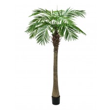 EUROPALMS Phönixpalme luxor, Kunstpflanze, 150cm