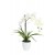 EUROPALMS Orchideen-Arrangement 1, künstlich