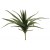 EUROPALMS Aloe (EVA), künstlich, grün, 50cm