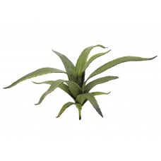 EUROPALMS Aloe (EVA), künstlich, grün, 66cm