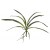 EUROPALMS Orchideenblatt (EVA), künstlich, grün, 45cm