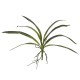 EUROPALMS Orchideenblatt (EVA), künstlich, grün, 45cm