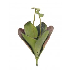 EUROPALMS Seerose (EVA), Kunstpflanze,geschlossen, grün, 45cm