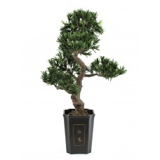 EUROPALMS Bonsai Podocarpus, Kunstpflanze, 80cm