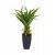 EUROPALMS Agave im Topf, Kunstpflanze, 75cm