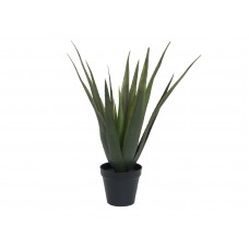 EUROPALMS Aloe-Vera Pflanze, Kunstpflanze, 60cm