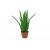EUROPALMS Aloe-Vera-Pflanze, Kunstpflanze, 63cm
