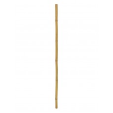 EUROPALMS Bambusrohr, Ø=5cm, 200cm