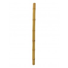 EUROPALMS Bambusrohr, Ø=8cm, 200cm