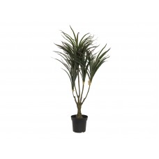 EUROPALMS Dracena, künstlich, grün-rot,  90cm