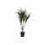 EUROPALMS Dracena, künstlich, grün-rot,  90cm