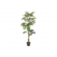 EUROPALMS Parlour Palme, Kunstpflanze, 150cm