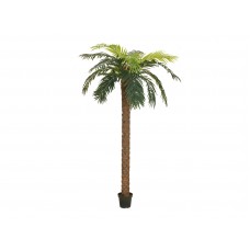 EUROPALMS Phönix Palme deluxe, Kunstpflanze, 250cm