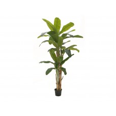 EUROPALMS Bananenbaum, Kunstpflanze, 240cm