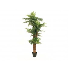 EUROPALMS Areca Palme, Kunstpflanze, 170cm