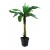 EUROPALMS Bananenbaum, Kunstpflanze, 210cm