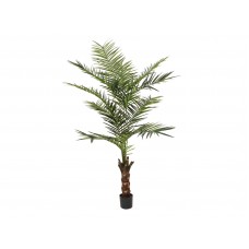 EUROPALMS Kentia Palme, Kunstpflanze, 240cm