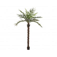 EUROPALMS Kentia Palme deluxe, Kunstpflanze  300cm