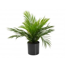 EUROPALMS Goldfruchtpalme, Kunstpflanze, 46 cm