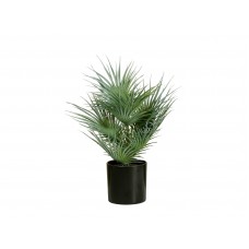 EUROPALMS Fächerpalme, Kunstpflanze, 55cm