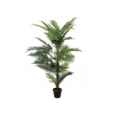 EUROPALMS Areca Palme, Kunstpflanze, 150cm