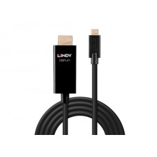 Lindy 43291 Video-Adapterkabel, 1.0m, 4K