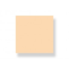 LEE Farbfilter / Farbfolie 205 Half C.T. Orange 122 x 25 cm