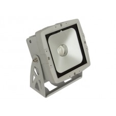 BriteQ LDP-COBWASH 60TC LED Outdoor Fluter
