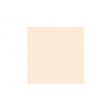 LEE Filters 206 1/4  C.T. Orange Rolle