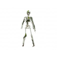 EUROPALMS Halloween Skelett mit Moos, 40cm