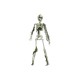 EUROPALMS Halloween Skelett mit Moos, 40cm
