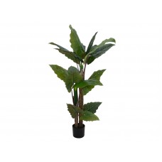 EUROPALMS Pfeilblatt - Alocasia, Kunstpflanze, 140cm