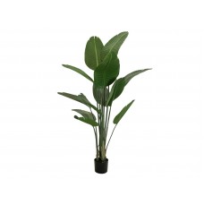 EUROPALMS Strelitzie, Kunstpflanze, 170cm