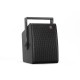 CELTO ACOUSTIQUE iFIX6 G2 2-Wege Koaxial Lautsprecher schwarz