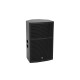 CELTO ACOUSTIQUE CT15V 2-Wege Fullrange Lautsprecher