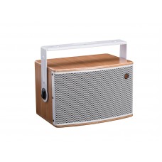 CELTO ACOUSTIQUE iFIX7 G2 2-Wege Koaxial Lautsprecher natur/weiß