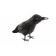 EUROPALMS Halloween Rabe, 18cm