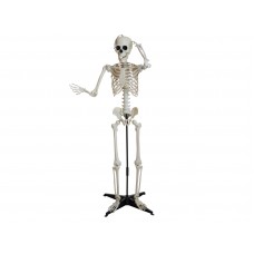 EUROPALMS Halloween Skelett, stehend, 150 cm